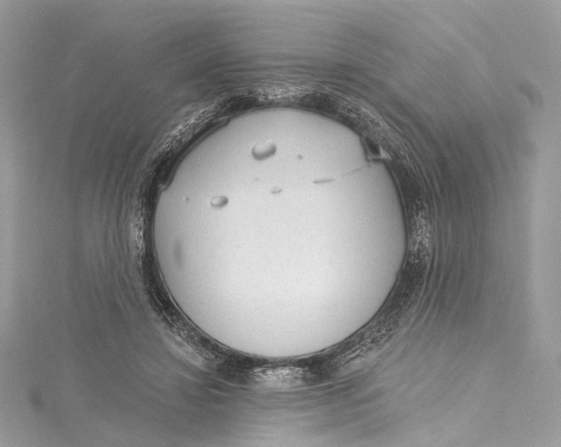 X0000115650452200912011526