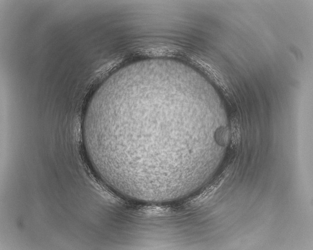 X0000115650453200912011526