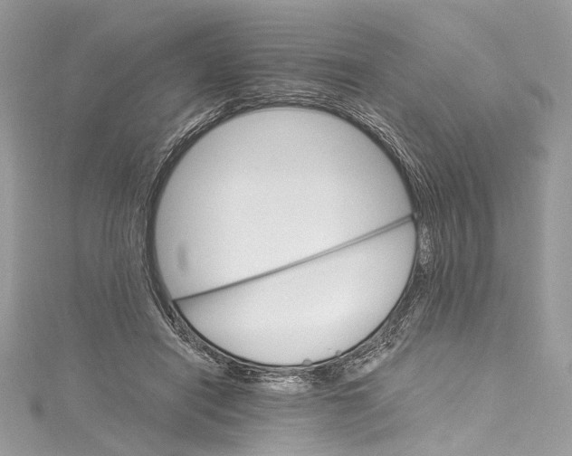 X0000115650454200912011526