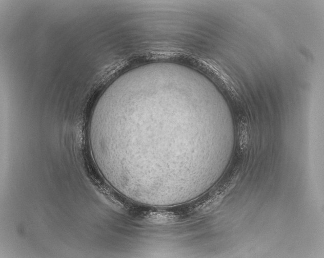 X0000115650455200912011526