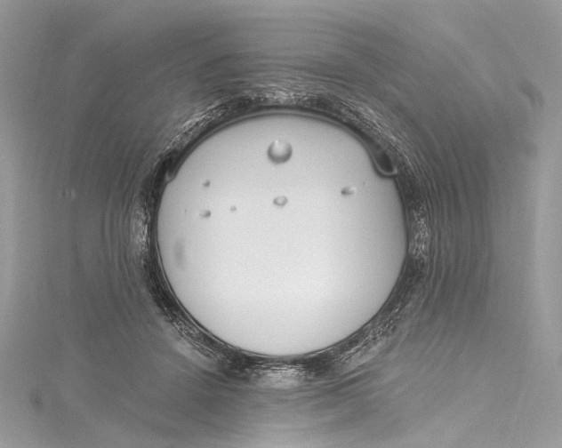 X0000115650456200912011526