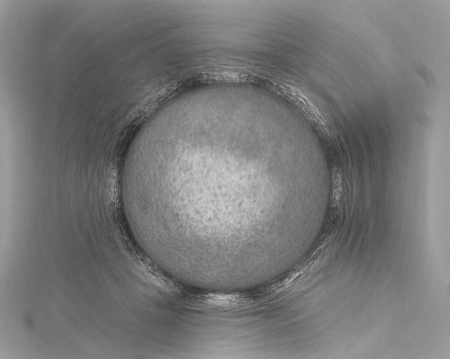 X0000115650457200912011526