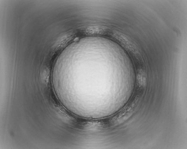 X0000115650458200912011526