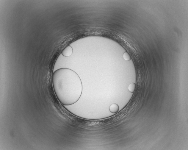 X0000115650459200912011526