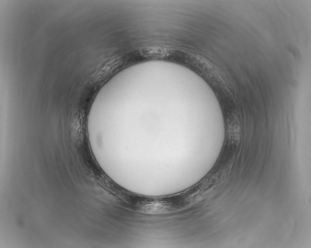 X0000115650460200912011526