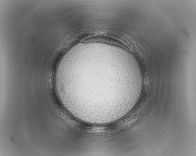 X0000115650462200912011526