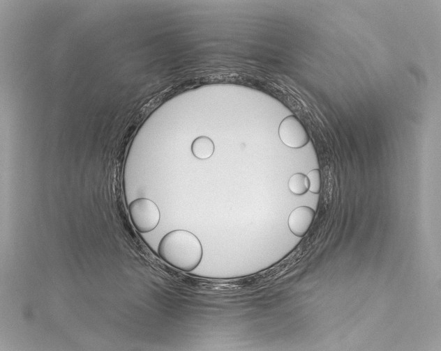 X0000115650463200912011526