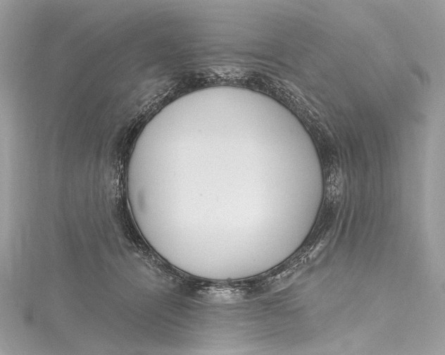 X0000115650464200912011526