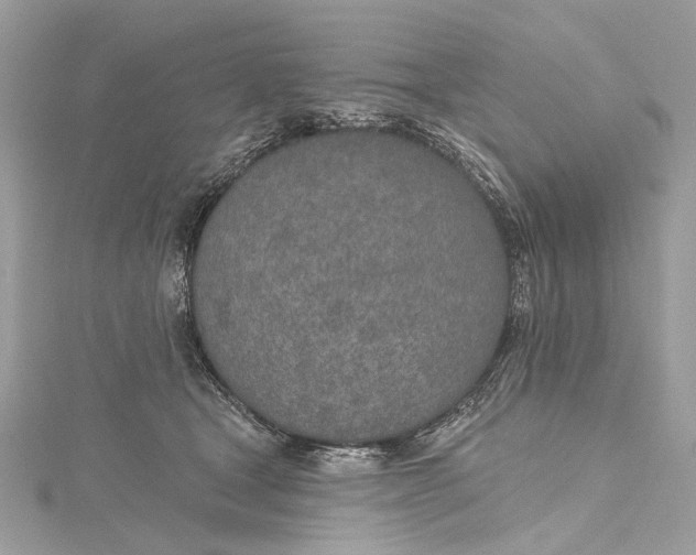 X0000115650465200912011526