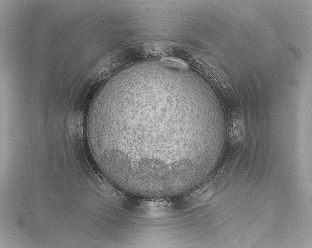 X0000115650466200912011526