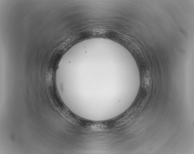 X0000115650468200912011526