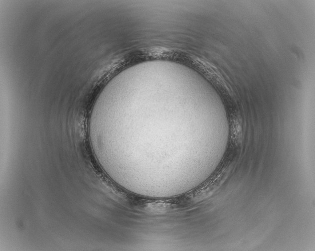 X0000115650470200912011526