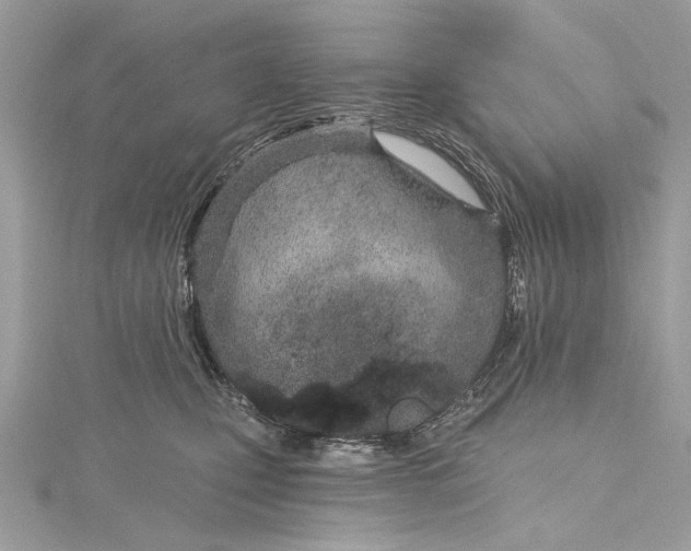 X0000115650471200912011526