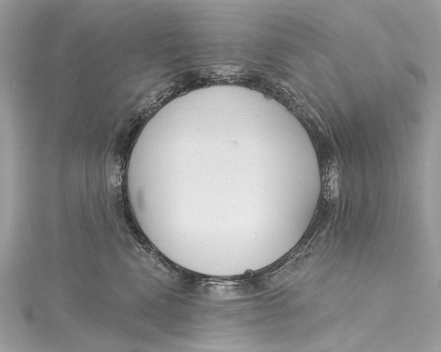 X0000115650472200912011526