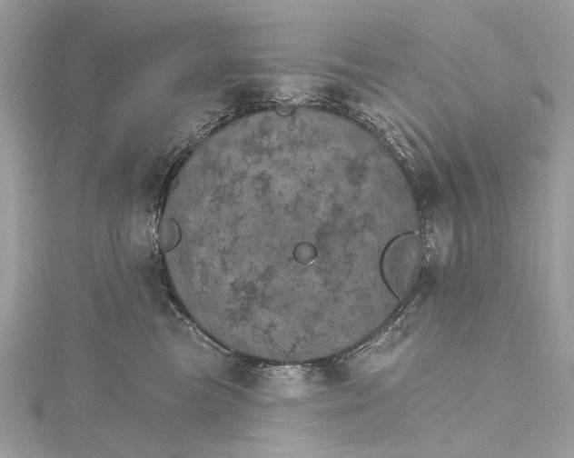 X0000115650473200912011526