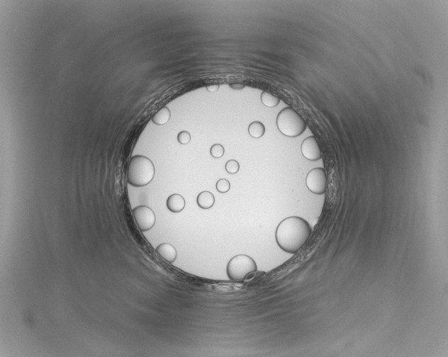 X0000115650474200912011526