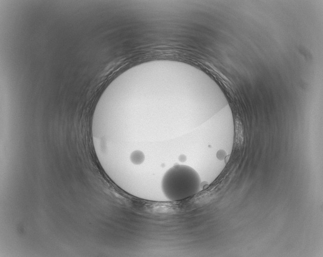 X0000115650475200912011526