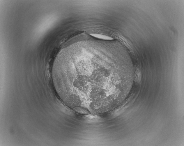 X0000115650477200912011526