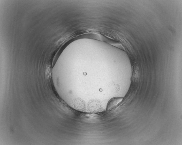 X0000115650478200912011526