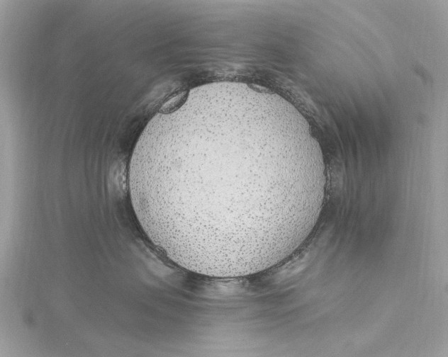 X0000115650479200912011526