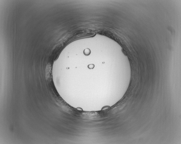 X0000115650480200912011526