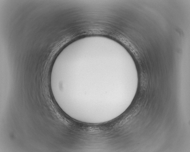 X0000115650481200912011525