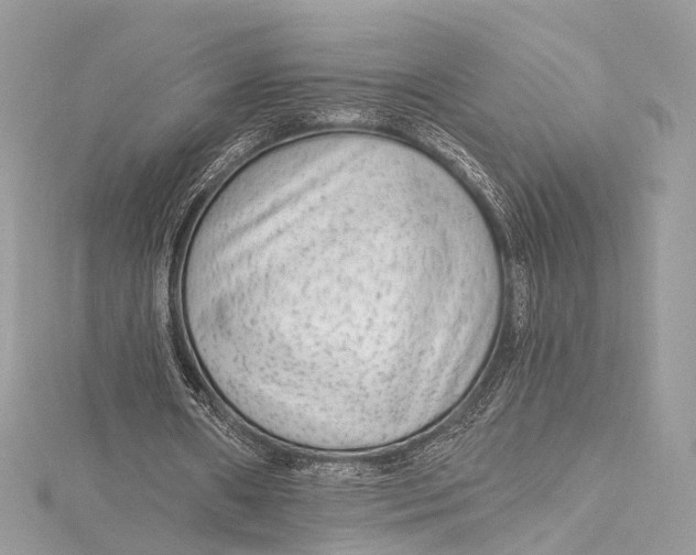 X0000115650482200912011525