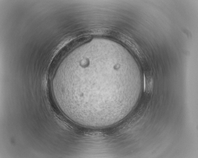 X0000115650483200912011525