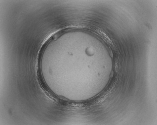 X0000115650484200912011525