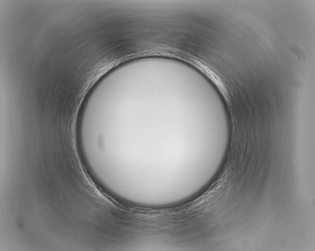 X0000115650485200912011525