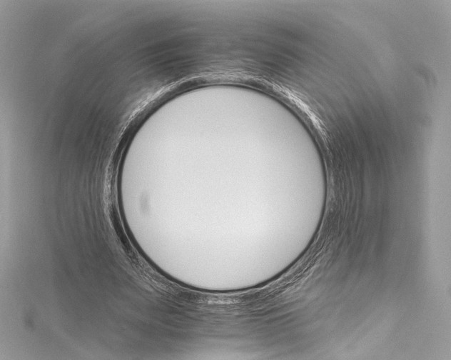 X0000115650487200912011525