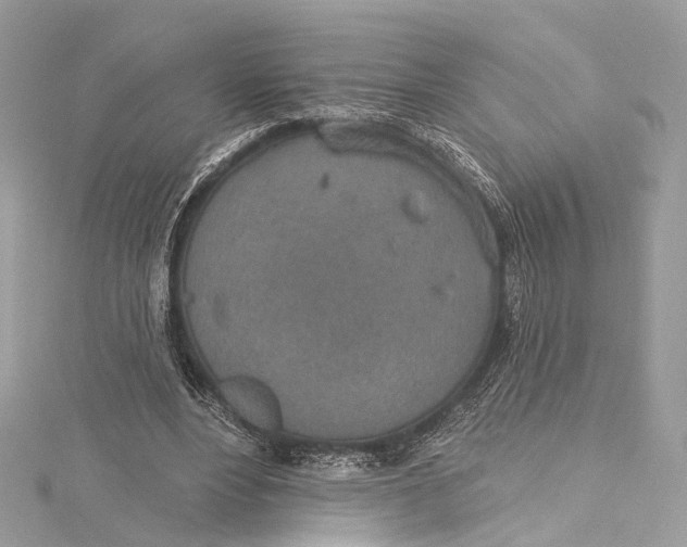 X0000115650488200912011525