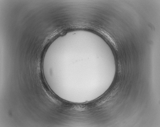 X0000115650489200912011525