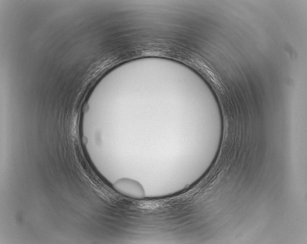 X0000115650490200912011525