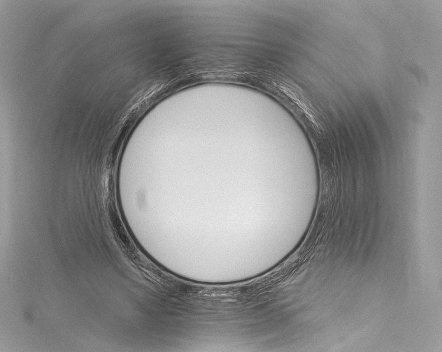 X0000115650491200912011525