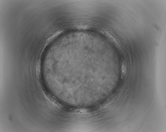 X0000115650492200912011525