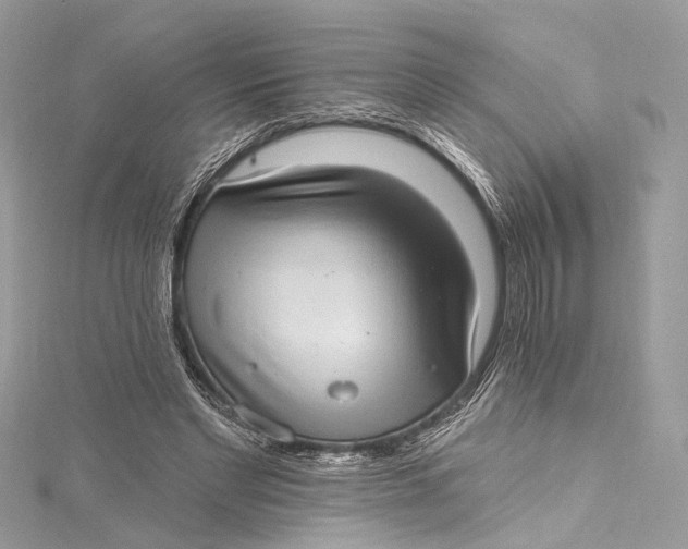 X0000115650493200912011525