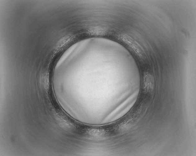 X0000115650494200912011525