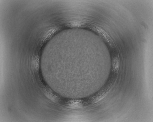 X0000115650495200912011525