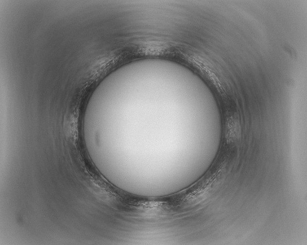 X0000115650497200912011525