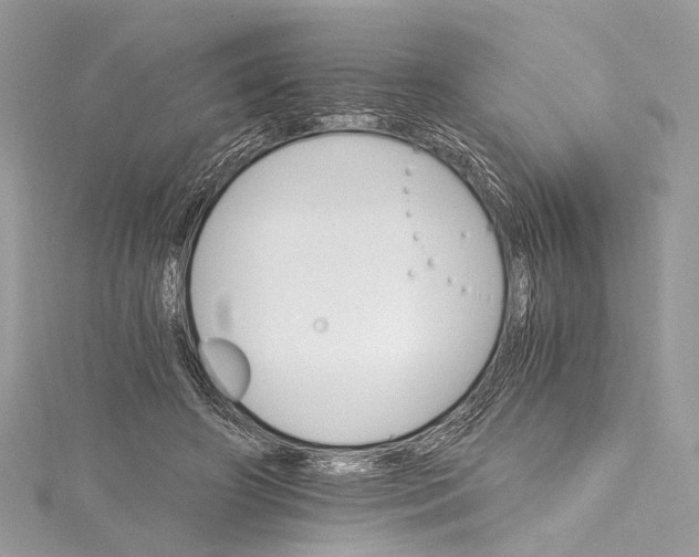 X0000115650498200912011525