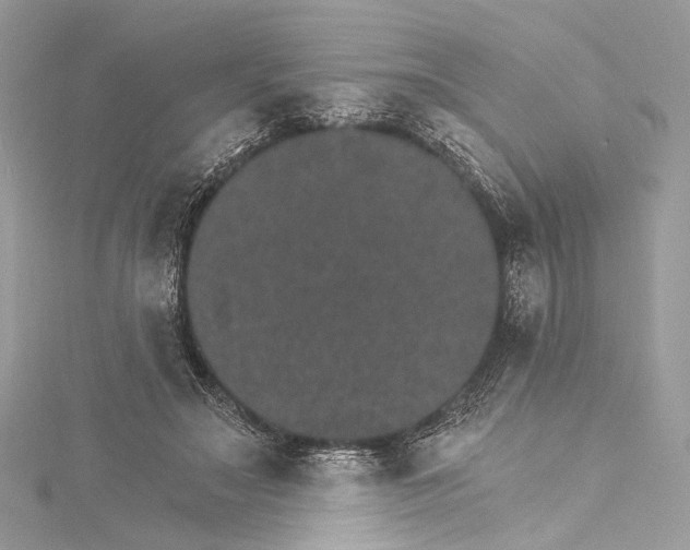 X0000115650499200912011525