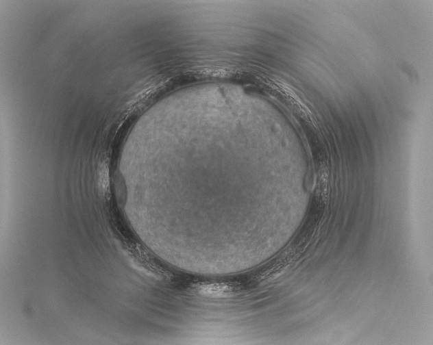 X0000115650500200912011525