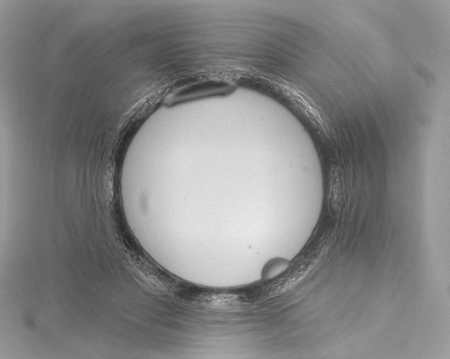 X0000115650501200912011525