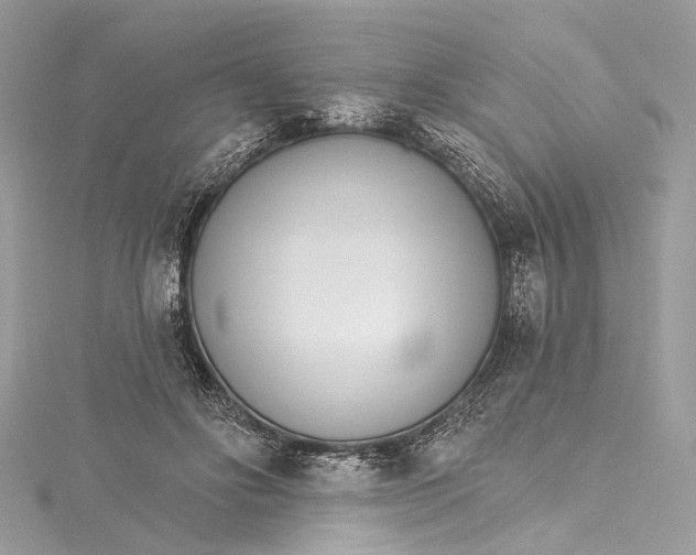 X0000115650502200912011525