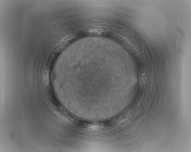 X0000115650504200912011525