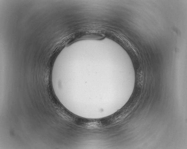 X0000115650505200912011525