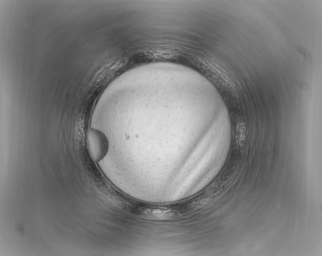 X0000115650506200912011525