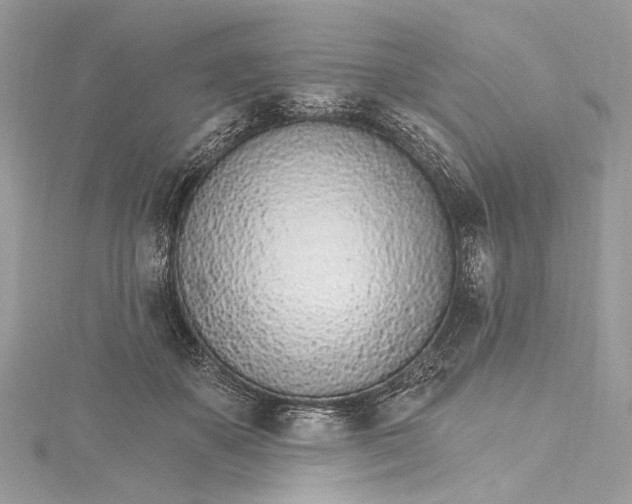 X0000115650507200912011525