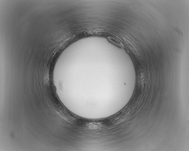 X0000115650508200912011525